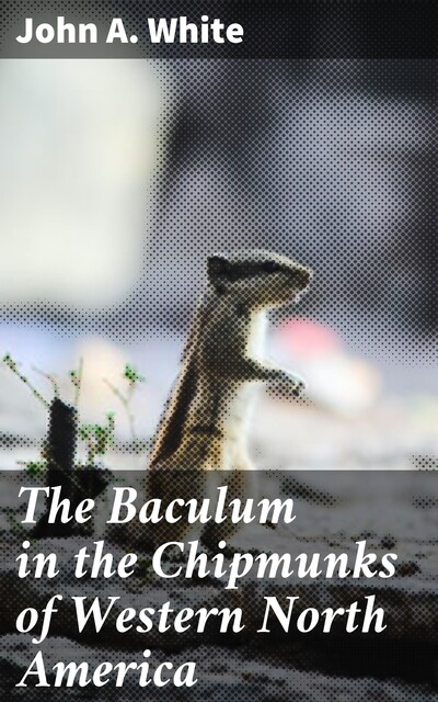 The Baculum in the Chipmunks of Western North America, John White