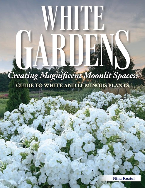 White Gardens, Nina Koziol