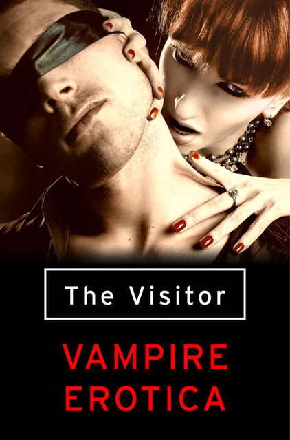 The Visitor: Vampire Erotica, Various