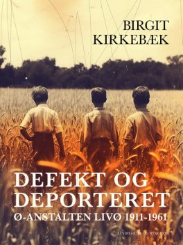 Defekt og deporteret. Ø-anstalten Livø 1911–1961, Birgit Kirkebæk