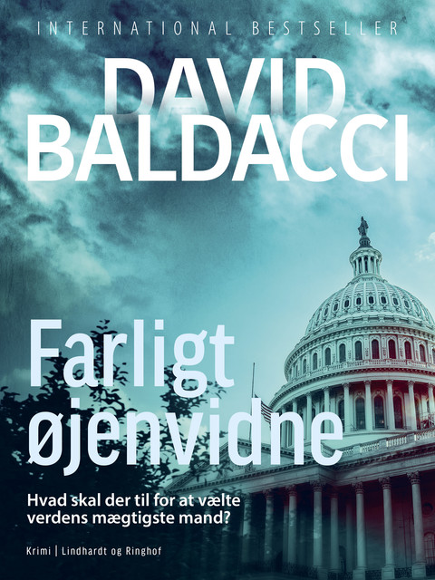 Farligt øjenvidne, David Baldacci