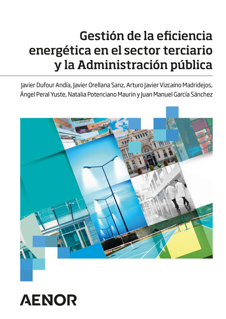 Gestión de la eficiencia energética en el sector terciario y la Administración pública, Juan Manuel García Sánchez, Arturo Javier Vizcaíno Madridejos, Javier Dufour Andía, Javier Orellana Sanz, Natalia Potenciano Maurin, Ángel Peral Yuste