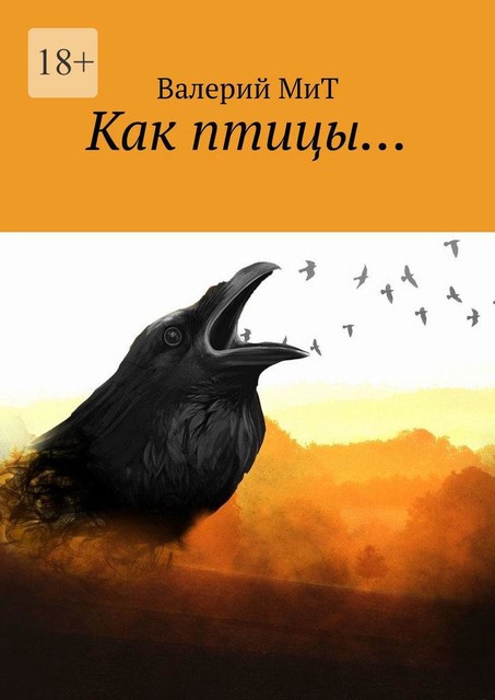 Как птицы, Валерий Мит