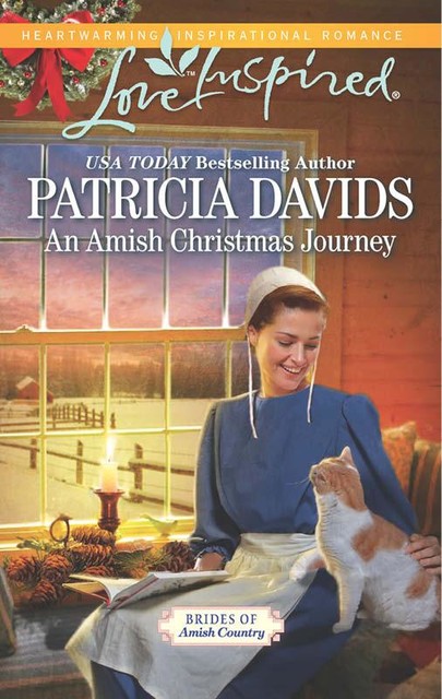 An Amish Christmas Journey, Patricia Davids