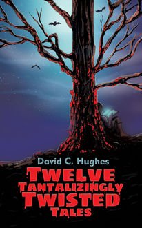 Twelve Tantalizingly Twisted Tales, David Hughes