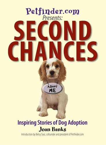 Second Chances, Joan Banks