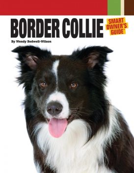 Border Collie, Wendy Bedwell Wilson