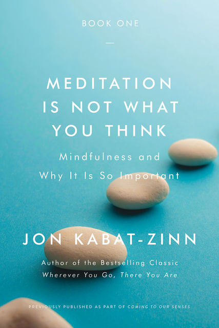 Meditation Is Not What You Think, Jon Kabat-Zinn
