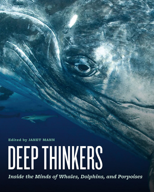 Deep Thinkers, Janet Mann