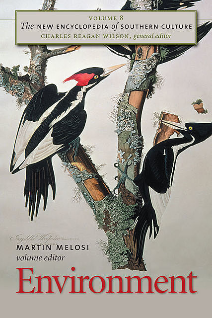 The New Encyclopedia of Southern Culture, Martin Melosi