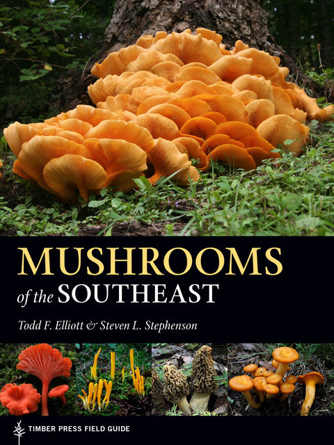 Mushrooms of the Southeast, Steven L.Stephenson, Todd F. Elliott