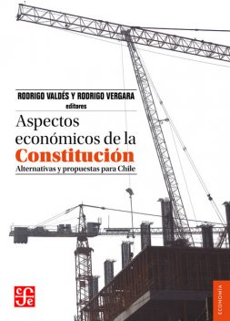 Aspectos económicos de la Constitución, Rodrigo Valdés, Rodrigo Vergara