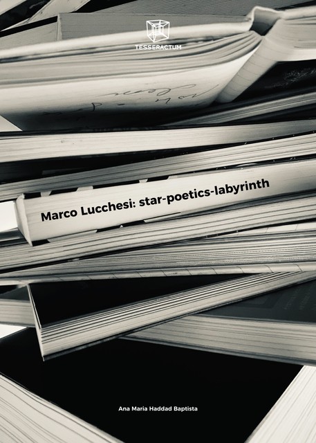 Marco Lucchesi: star-poetics-labyrinth, Ana Maria Haddad Baptista