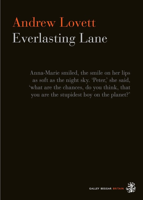 Everlasting Lane, Andrew Lovett