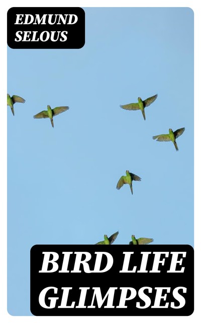 Bird Life Glimpses, Edmund Selous
