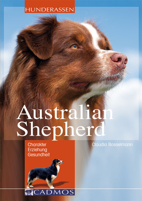 Australian Shepherd, Claudia Bosselmann