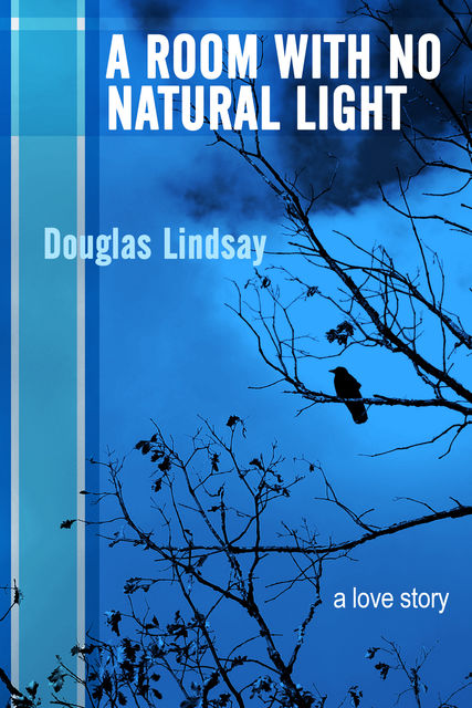 A Room With No Natural Light, Douglas Lindsay