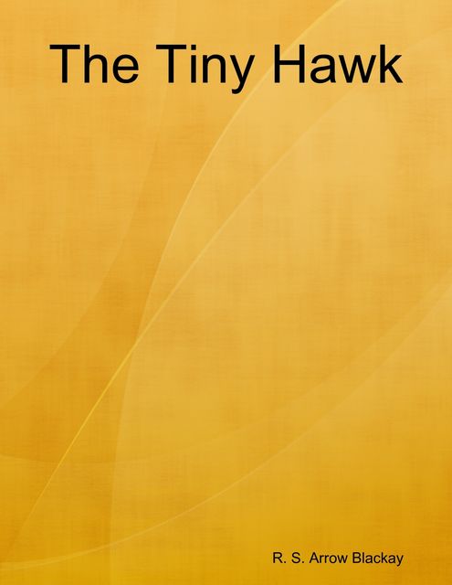 The Tiny Hawk, R.S. Arrow Blackay