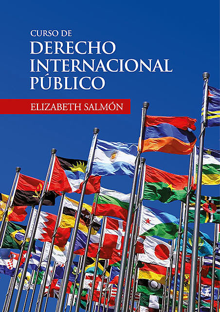 Curso de derecho internacional público, Elizabeth Salmón