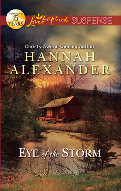 Eye of the Storm, Hannah Alexander