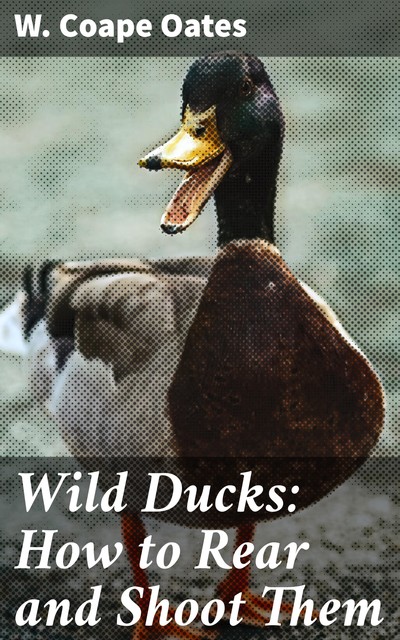 Wild Ducks: How to Rear and Shoot Them, W.Coape Oates