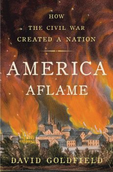America Aflame, David Goldfield