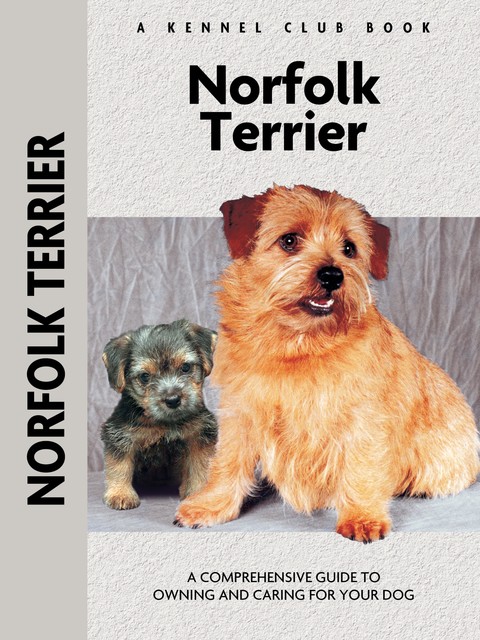 Norfolk Terrier, Muriel P. Lee