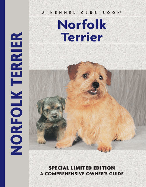 Norfolk Terrier, Muriel P. Lee