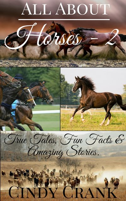 All about Horses – 2, Cindy Crank