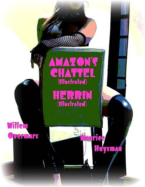 Amazon's Chattel (Illustrated) – Herrin (Illustrated), Willem Overmars, Maurice Overmars