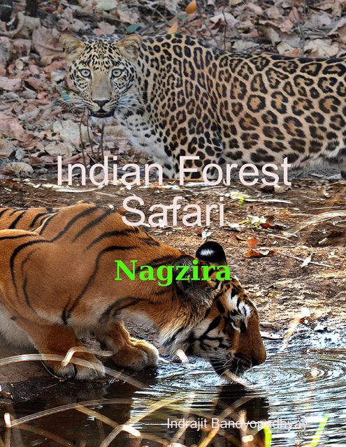 Indian Forest Safari – Nagzira, Indrajit Bandyopadhyay