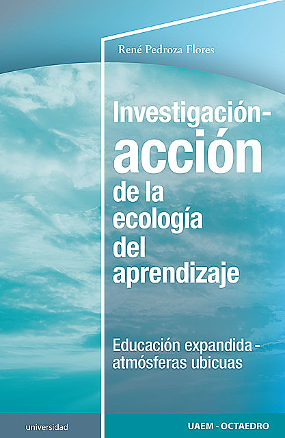 Investigación-acción de la ecología del aprendizaje, René Pedroza Flores