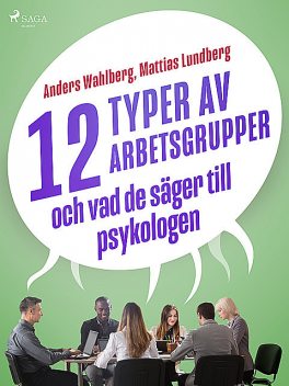 12 typer av arbetsgrupper – och vad de säger till psykologen, Mattias Lundberg, Anders Wahlberg