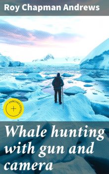 Whale hunting with gun and camera, Roy Chapman Andrews
