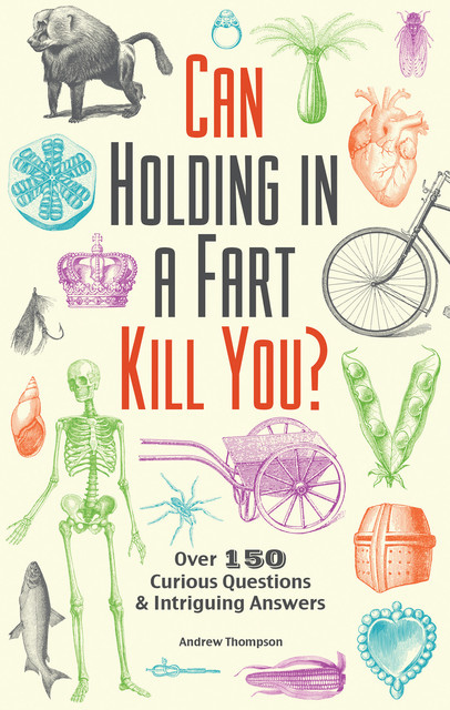 Can Holding in a Fart Kill You, Andrew Thompson