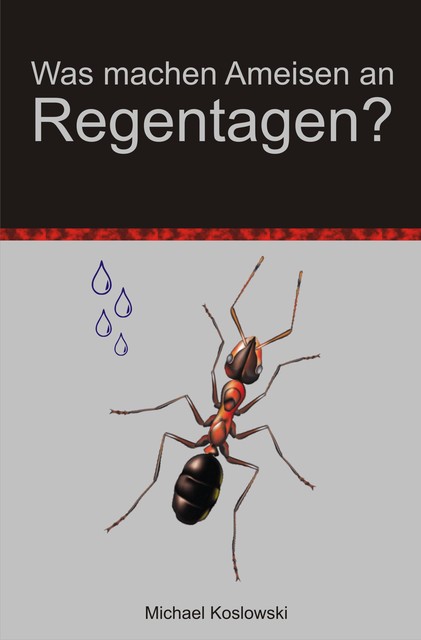 Was machen Ameisen an Regentagen, Michael Koslowski