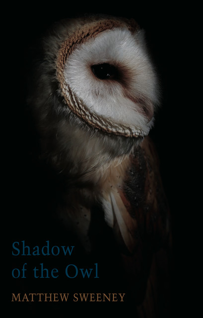Shadow of the Owl, Matthew Sweeney