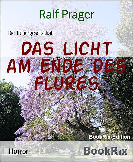 Das Licht am Ende des Flures, Ralf Prager