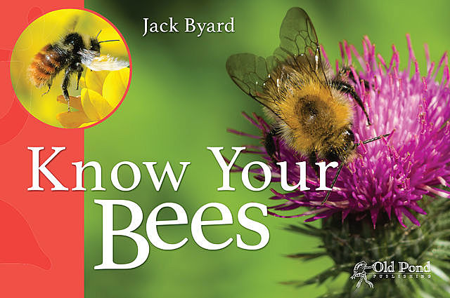 Know Your Bees, Jack Byard
