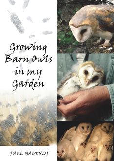 Growing Barn Owls in My Garden, Paul Hackney