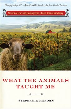 What the Animals Taught Me, Stephanie Marohn