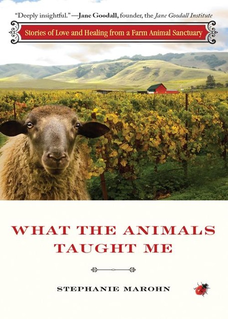 What the Animals Taught Me, Stephanie Marohn