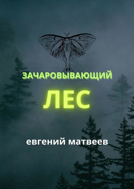 Зачаровывающий лес, Евгений Матвеев
