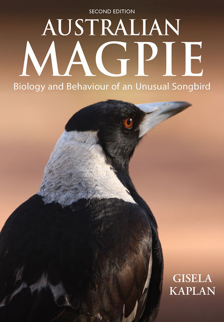 Australian Magpie, Gisela Kaplan