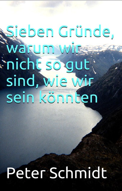 Sieben Gründe, warum wir nicht so gut sind, wie wir sein könnten, Peter Schmidt