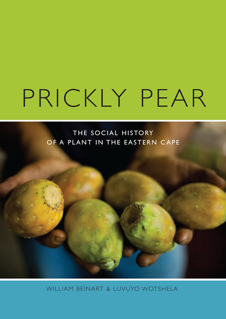 Prickly Pear, William Beinart