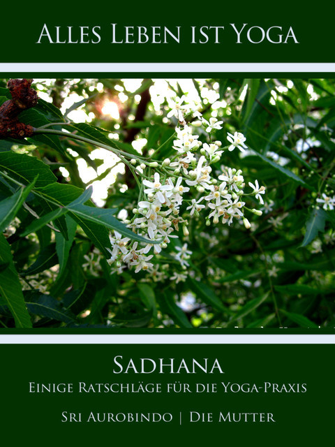 Sadhana, Sri Aurobindo, Die Mutter