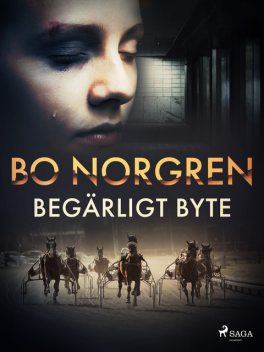 Begärligt byte, Bo Norgren
