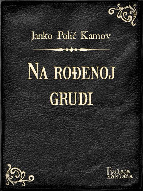 Na rođenoj grudi, Janko Polić Kamov