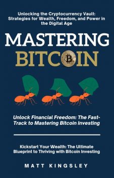 Mastering Bitcoin, Matt Kingsley